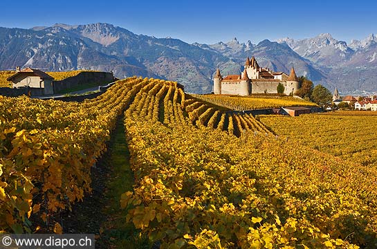 9607 - Photo : Suisse, Canton de Vaud, le Chteau d'Aigle et son vignoble dans le Chablais - switzerland castle and swiss wines - wein, schweiz