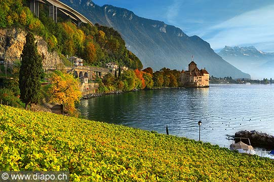 9608 - Photo : Suisse, Canton de Vaud, le Chteau Chillon et le Lac Lman avec son vignoble - switzerland castle and swiss wines - wein, schweiz