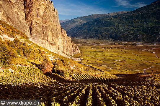 9611 - Photo: Suisse, Valais, vignoble  Chamoson, switzerland, swiss wines - wein, schweiz