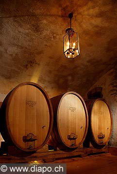9835 - Photo : Suisse, vignoble de Genve - cave - Geneva, switzerland, swiss wines - wein, schweiz