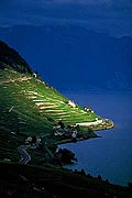 193 - Photo : Suisse, canton de Vaud, vignoble de Lavaux, et le Lac Lman - UNESCO