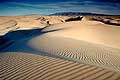 710 - Mongolie - Dunes de Khongoryn Els, d�sert de Gobi