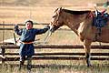 716 - Mongolie - L'enfant et son cheval