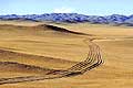 717 - Mongolie - Piste, ouest de la Mongolie