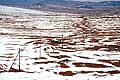 720 - Mongolie - Centre de l'Alta�
