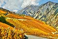 10349 - Photo: Suisse, vignoble du Valais, switzerland, swiss wines - wein, schweiz