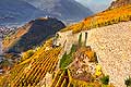 10364 - Photo: Suisse, vignoble du Valais, Sion, switzerland, swiss wines - wein, schweiz