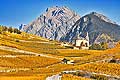10369 - Photo: Suisse, vignoble du Valais, switzerland, swiss wines - wein, schweiz