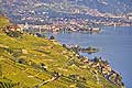 10396 - Photo : Suisse, canton de Vaud, Montagny, vignoble de Lavaux en terrasses en direction de Vevey et le Lac Lman