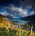 10417 - Photo - Suisse almanique, vignoble prs de Weesen dans le canton de Saint-Gall et le lac de Walensee