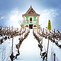 10488 - Photo : Suisse, vignoble de Genève sous la neige vers Bourdigny  - Geneva, switzerland, swiss wines - wein, schweiz