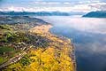 10713 - Photo : Suisse, canton de Vaud, vignoble de Lavaux en terrasses, le Lac Lman - vein, wine, Vineyards, Switzerland