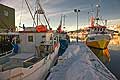 11022 - Photo :  Norvège, Arctique, îles Lofoten, port de Myre