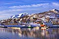 11033 - Photo :  Norvège,  Arctique, îles Lofoten, port de Myre