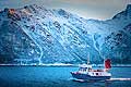 11046 - Photo :  Norvège,  Arctique, îles Lofoten, la pêche aux Skrei  un cabillaud pas comme les autres