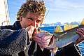 11057 - Photo :  Norvège,  Arctique, îles Lofoten, la pêche aux Skrei  un cabillaud pas comme les autres