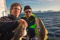 11058 - Photo :  Norvège,  Arctique, îles Lofoten, la pêche aux Skrei  un cabillaud pas comme les autres