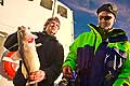 11061 - Photo :  Norvège,  Arctique, îles Lofoten, la pêche aux Skrei  un cabillaud pas comme les autres