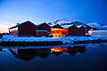 11115 - Photo :  Norvège,  Arctique, îles Lofoten, la pêche aux Skrei  un cabillaud pas comme les autres, le soir les pêcheurs rentrent au port avec le fruit de leurs pêche