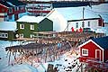 11193 - Photo :  Norvège,  Arctique, îles Lofoten, île de Moskenesoy, village de pêcheurs de Hamnoy près de Reine, séchage de la morue
