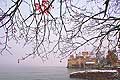 11400 - Photo :  Suisse - Chteau de Chillon au bord du Lac Lman