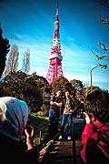 11683 - Photo :  Japon, Tokyo, Tokyo Tower