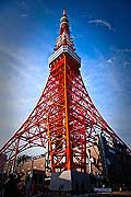 11686 - Photo :  Japon, Tokyo, Tokyo Tower