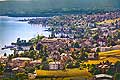11985 -  Photo : Suisse, canton de Vaud, village de Lutry, vignoble de Lavaux et le Lac Lman 