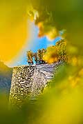 12008 - Photo: Suisse, Valais, vignoble de Sion, la Cotzette, switzerland, swiss wines - wein, schweiz 