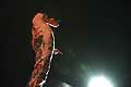 12152 - 33em Palo festival de Nyon - 2008, Photo de musique, spectacle et concert - Mika