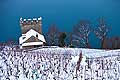 12836 - Tour de Marsens, Suisse, canton de Vaud, vignoble de Lavaux sous la neige et le Lac Lman 