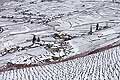 12837 - Photo: Villages Epesses et Riex - Suisse, canton de Vaud, vignoble de Lavaux sous la neige