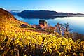 13109 - Photo : Suisse, canton de Vaud, Tour de Marsens, vignoble de Lavaux en terrasses, et le Lac Lman - UNESCO 