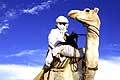 3216 - le touareg et son chameau