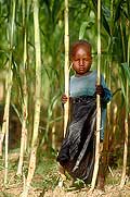 3576 - Nord Cameroun - portrait d'enfant