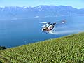 4966 - le sulfatage par hélicoptère - Lavaux -Suisse