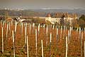 5000 - Vignoble de Genève - Dardagny - Suisse