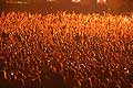 7948 - Photo de musique, spectacle et concert : Paléo festival de Nyon - 2005