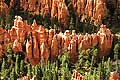 8433 - Photo : Amérique, USA, Etats-Unis - Bryce Canyon 8433 - Photo : Amérique, USA, Etats-Unis - Bryce Canyon