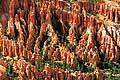 8436 - Photo : Amérique, USA, Etats-Unis - Bryce Canyon 8436 - Photo : Amérique, USA, Etats-Unis - Bryce Canyon