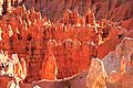 8439 - Photo : Amérique, USA, Etats-Unis - Bryce Canyon 8439 - Photo : Amérique, USA, Etats-Unis - Bryce Canyon