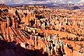 8441 - Photo : Amérique, USA, Etats-Unis - Bryce Canyon 8441 - Photo : Amérique, USA, Etats-Unis - Bryce Canyon