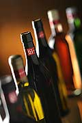 8592 - Bouteilles de vins en studio