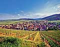 8610 - Photo: France - Alsace - Village de Riquewihr dans le vignoble