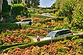 8712 - Photo : USA, Etats-Unis, Californie, San Francisco, Image of America - Lombard Street