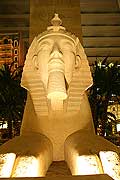 8854 - Photo : USA, Etats-Unis, Nevada, Las Vegas, Image of America - Luxor Sphinx 8854 - Photo : USA, Etats-Unis, Nevada, Las Vegas, Image of America - Luxor Sphinx