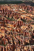 9040 - Photo : Amérique, USA, Etats-Unis, Bryce Canyon, Image of America 9040 - Photo : Amérique, USA, Etats-Unis, Bryce Canyon, Image of America