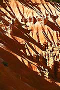 9048 - Photo : Amrique, USA, Etats-Unis, Bryce Canyon,  Image of America