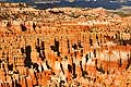 9049 - Photo : Amérique, USA, Etats-Unis, Bryce Canyon, Image of America 9049 - Photo : Amérique, USA, Etats-Unis, Bryce Canyon, Image of America