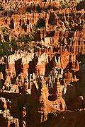 9051 - Photo : Amrique, USA, Etats-Unis, Bryce Canyon,  Image of America